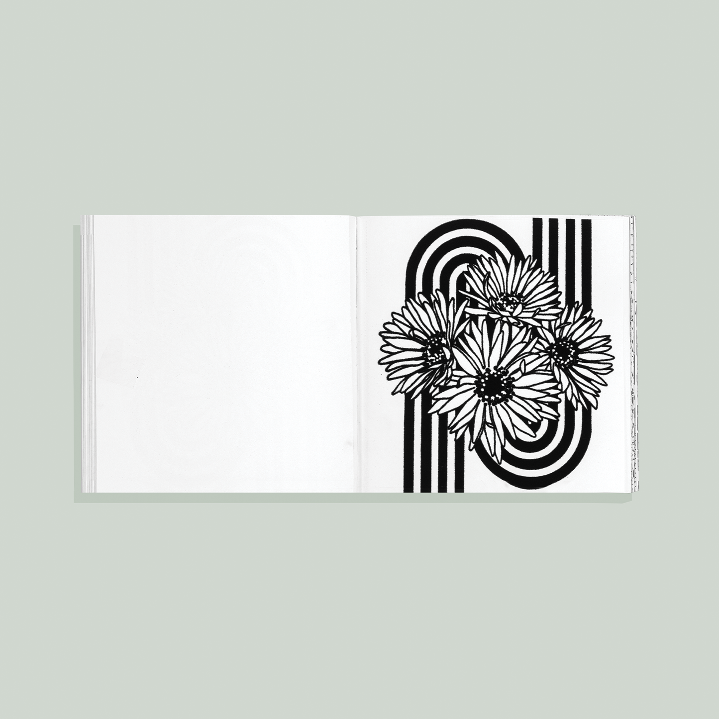 Heyday: A Retro Flower Design Coloring Book